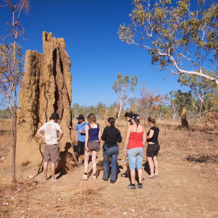 Kakadu Tour Pics (44 of 110).jpg