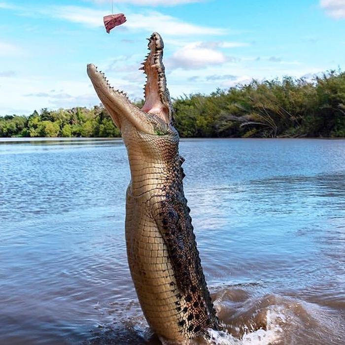mytopend_61482592_139517780482953_2961351071458762399_n.jpg