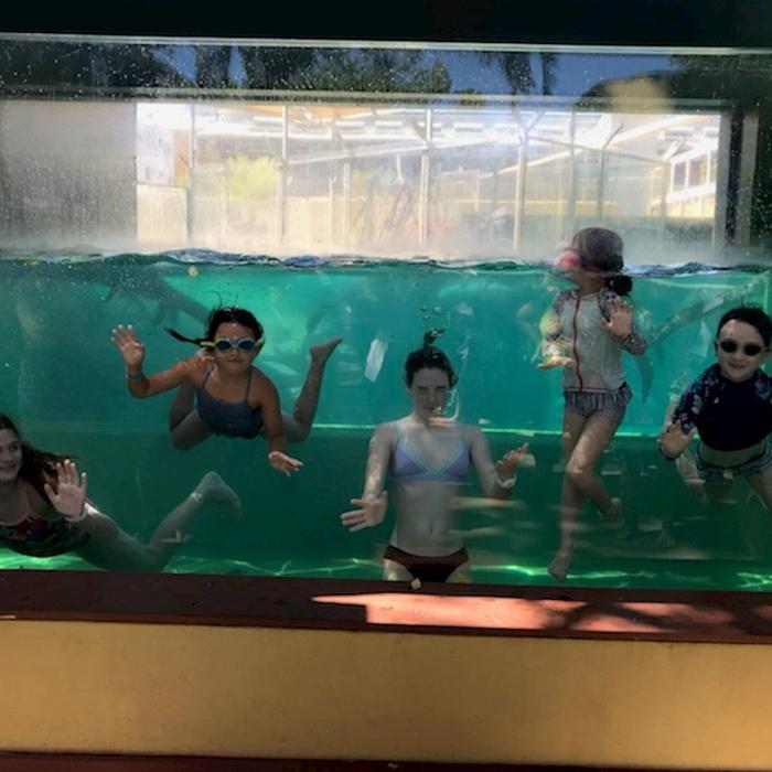 Crocosaurus Cove Day Entry