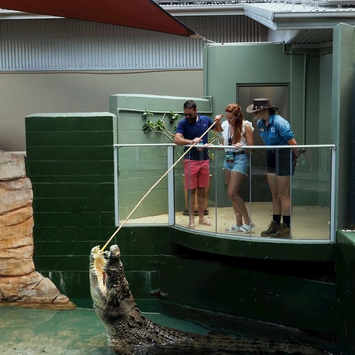 Crocosaurus Cove Big Croc Feed VIP Experience
