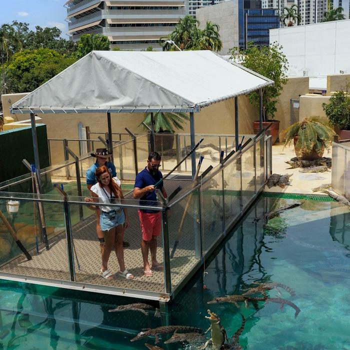 Crocosaurus Cove Big Croc Feed VIP Experience