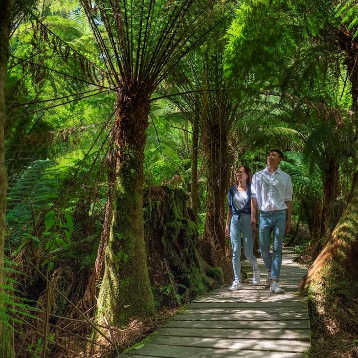 Autopia Tours Great Ocean Road Twelve Apostles Tour