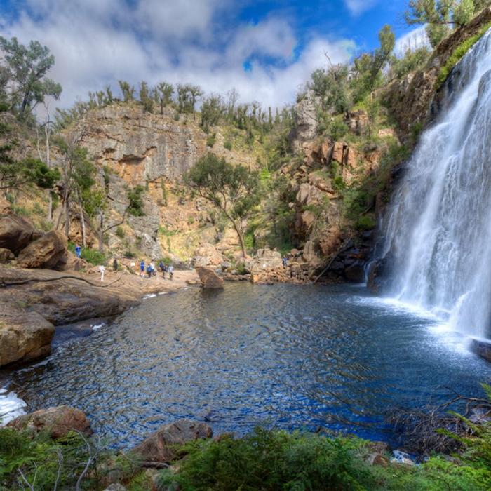 Autopia Tours Grampians National Park Wildlife Tour