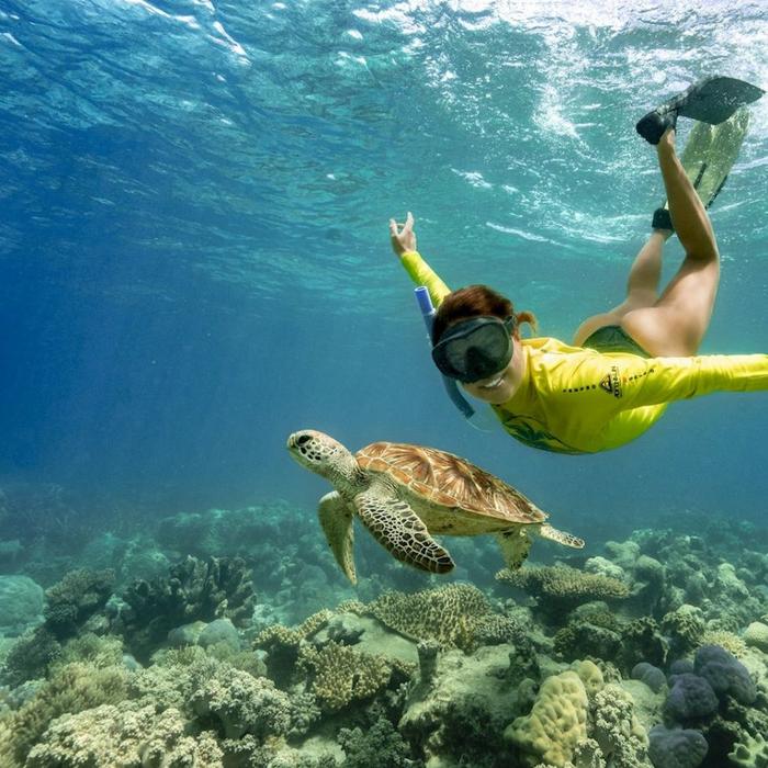 Ocean Safari Great Barrier Reef Snorkel Tour (Morning)