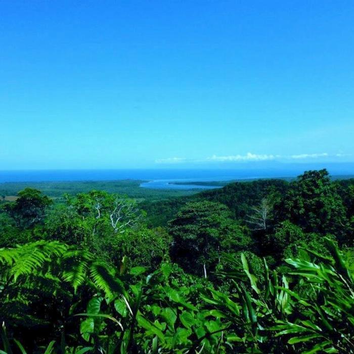 Discovery Tours Premium Cape Tribulation, Daintree & Mossman Gorge Rainforest Day Tour
