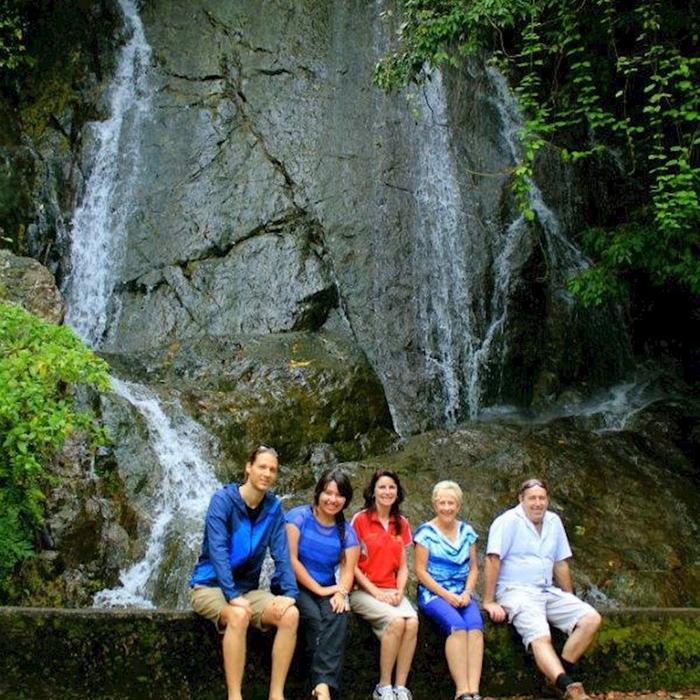Discovery Tours Rainforest & Waterfalls Half Day Tour
