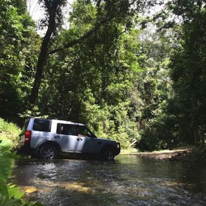 Discovery Tours Rainforest & Waterfalls Half Day Tour