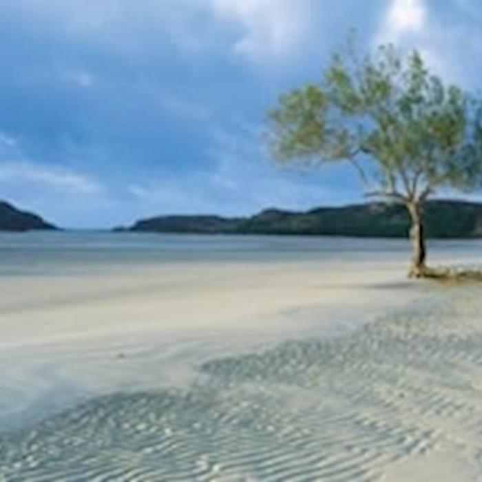 Discovery Tours Cairns to Cape York 9 Day Tour - Drive / Fly (Twin Share)
