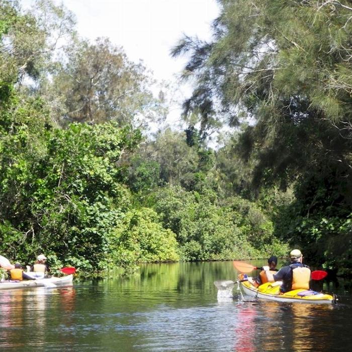 Kanu Kapers Noosa Everglades Kayak Adventure (Self-Guided)