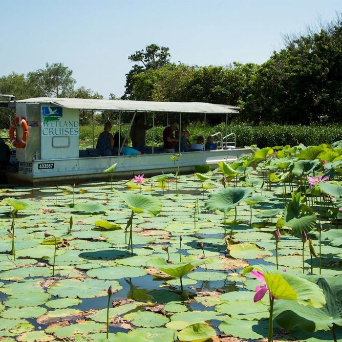 Wetland Cruises Corroboree Billabong Wetland Cruise - 2.5hr Lunch Cruise Self Drive - 12.45pm