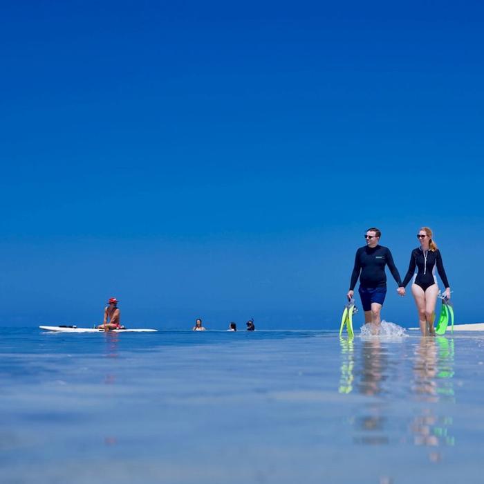 Big Cat Green Island Reef Cruises Green Island Full Day Tour