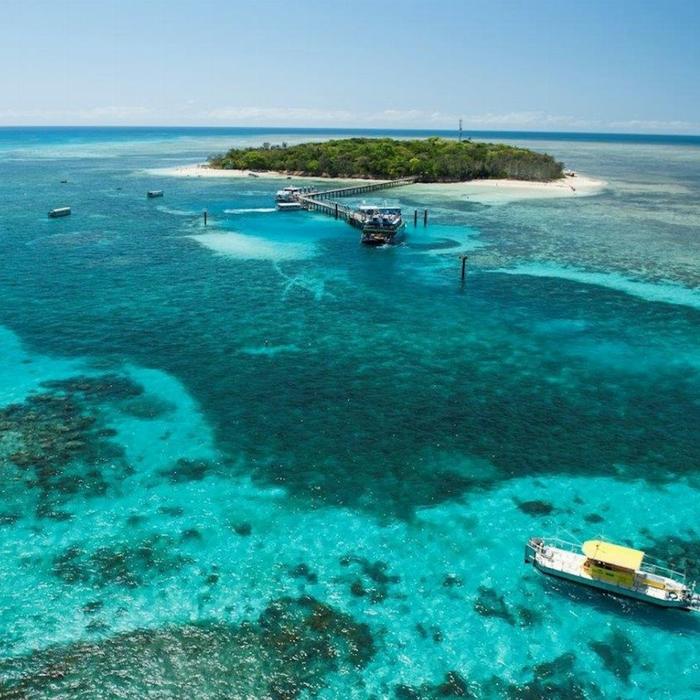 Big Cat Green Island Reef Cruises Green Island Half Day Trip (Morning)