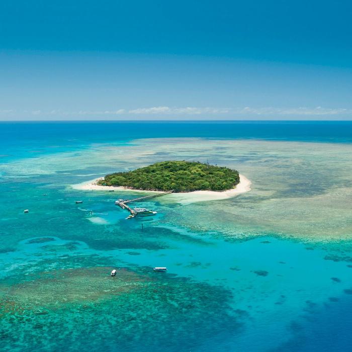 Big Cat Green Island Reef Cruises Green Island Half Day Trip (Morning)