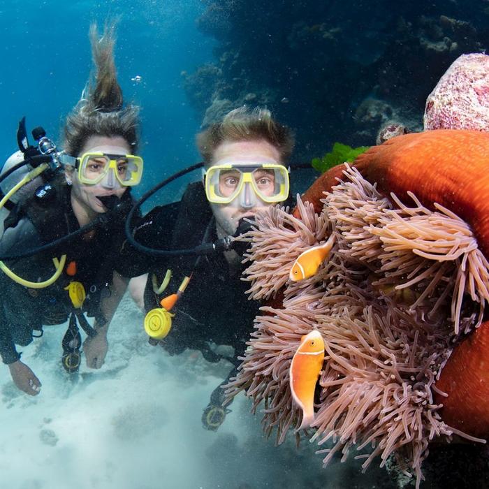 Silverswift Barrier Reef Cruise (Certified Dive)
