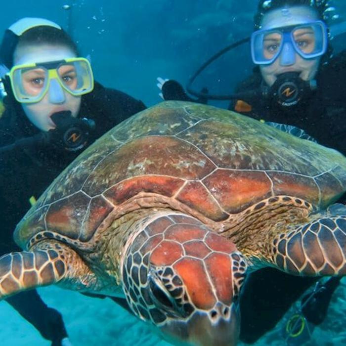 Silversonic Barrier Reef Cruise (Intro Dive)