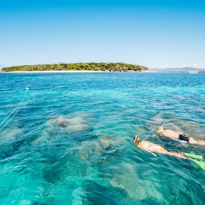 Great Adventures Green Island Eco (Snorkel Gear or Glass Bottom Boat) + Boat Snorkel Trip