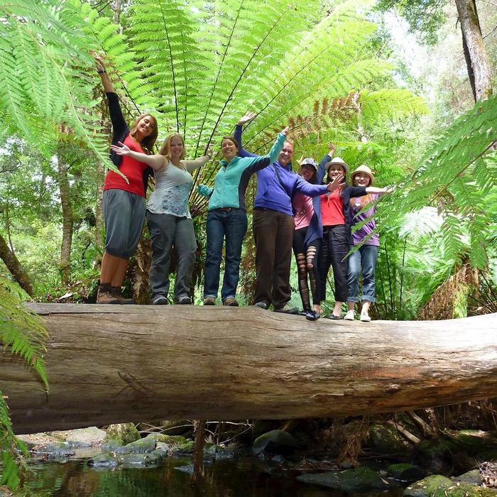 Tours Tasmania Mt Field, Mt Wellington and Wildlife Active day tour