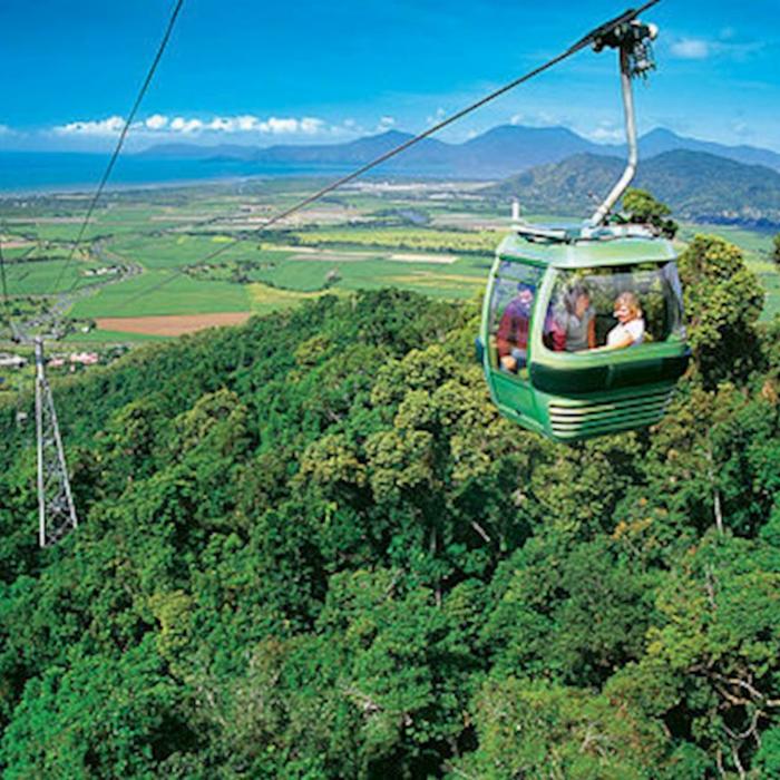 Skyrail Rainforest Cableway One Way Skyrail Experience