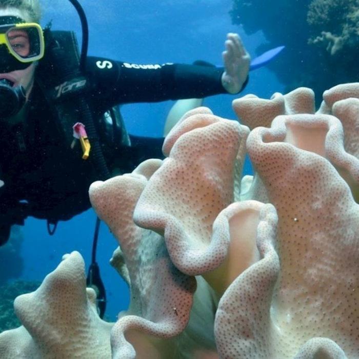 Reef Encounter Certified Dive Adventure 2D/1N (4 Day Dives, 1 Night Dives)