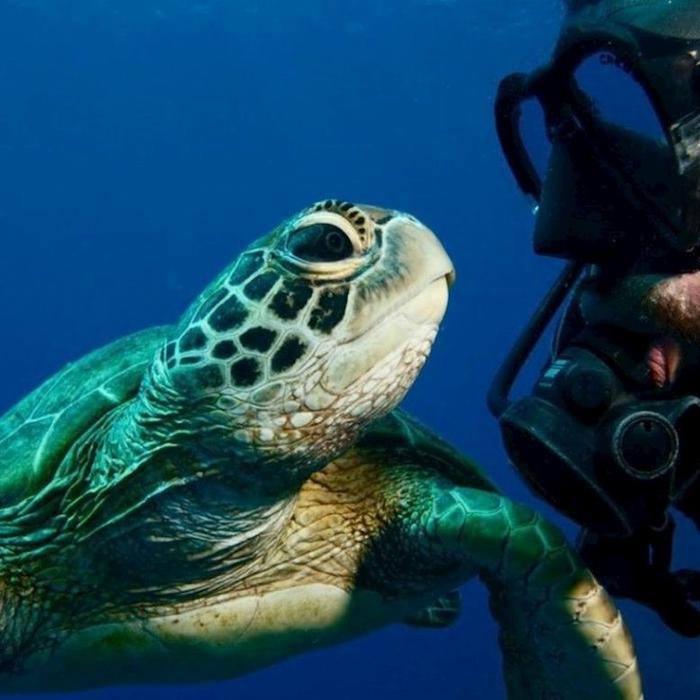 Reef Encounter Certified Dive Adventure 2D/1N (4 Day Dives, 1 Night Dives)