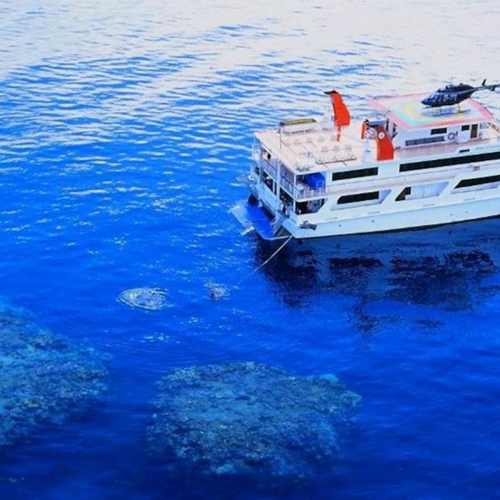 Reef Encounter Certified Dive Adventure 2D/1N (4 Day Dives, 1 Night Dives)