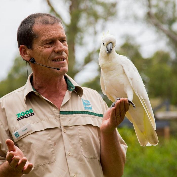 Healesville Sanctuary General Entry (Student)