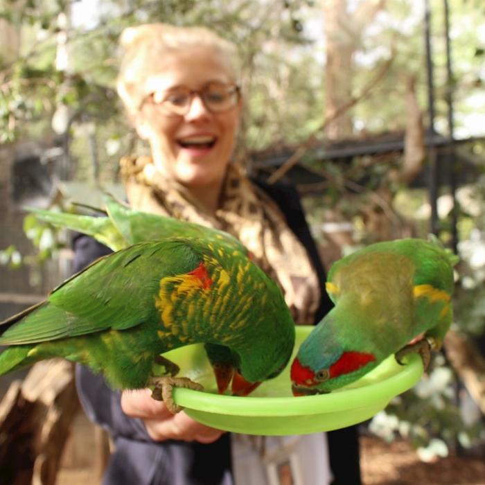 Healesville Sanctuary General Entry (Student)