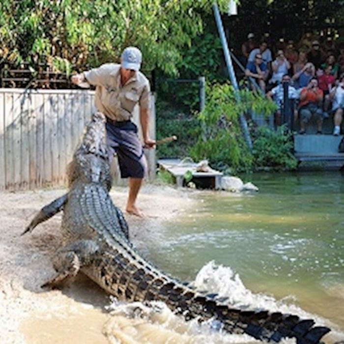Beaches Meet & Greet Hartley's Crocodile Adventures- AM - Cairns