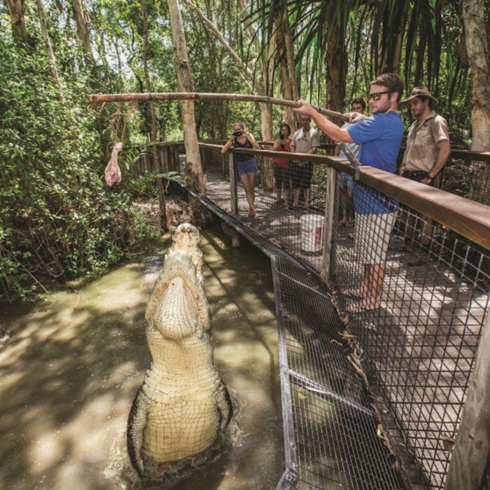 Hartley's Crocodile Adventures Entry + Big Croc Feed (No transfers)