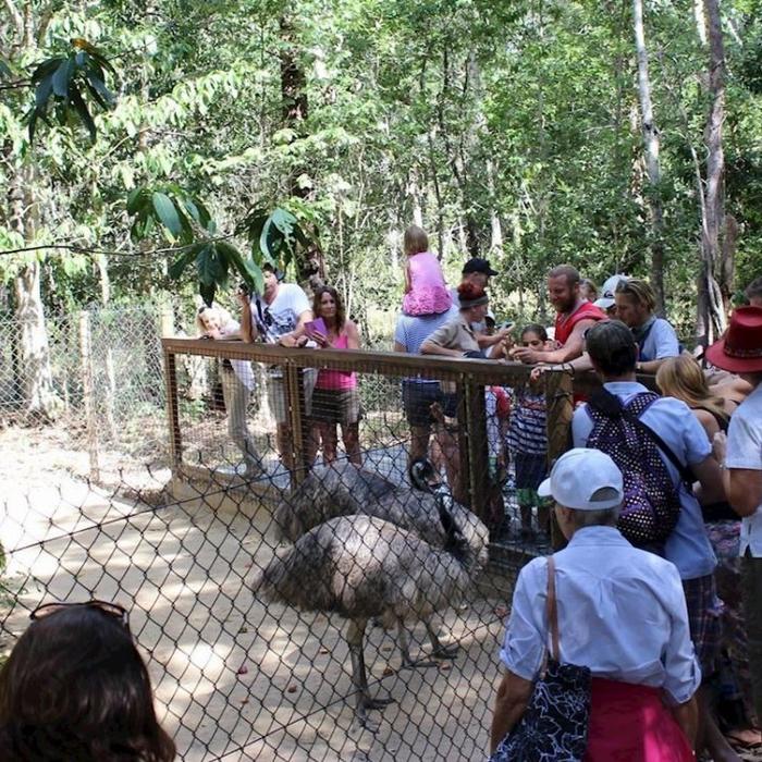 Hartley's Crocodile Adventures Zootastic 5 with Return Transfers ex Cairns & Cairns Northern Beaches