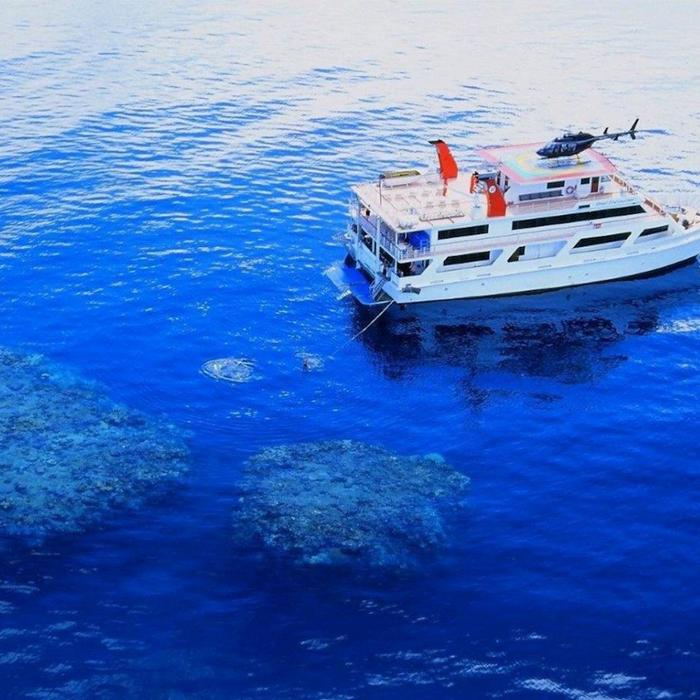 Reef Encounter Certified Dive Adventure 3D/2N (7 Day Dives, 2 Night Dives)
