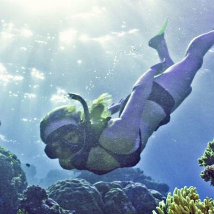 Reef Encounter Snorkel Adventure 3D/2N