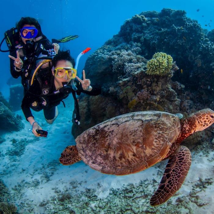Reef Encounter Intro / Resort Dive Adventure 3D/2N (7 Day Dives)