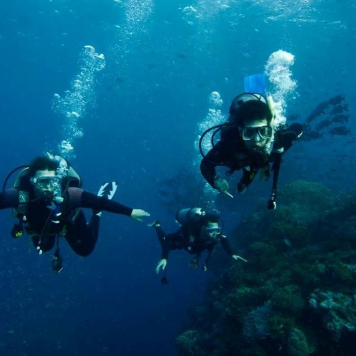 Reef Encounter Intro / Resort Dive Adventure 4D/3N (10 Day Dives)
