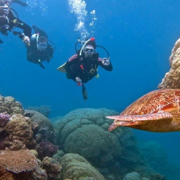 Reef Encounter Intro / Resort Dive Adventure 4D/3N (10 Day Dives)