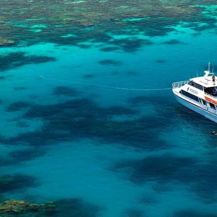 Poseidon Cruises Poseidon Outer Reef Day Trip (Introductory Dive)