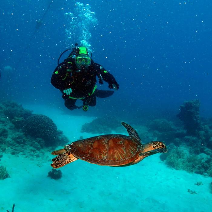 Poseidon Cruises Poseidon Outer Reef Day Trip (Introductory Dive)