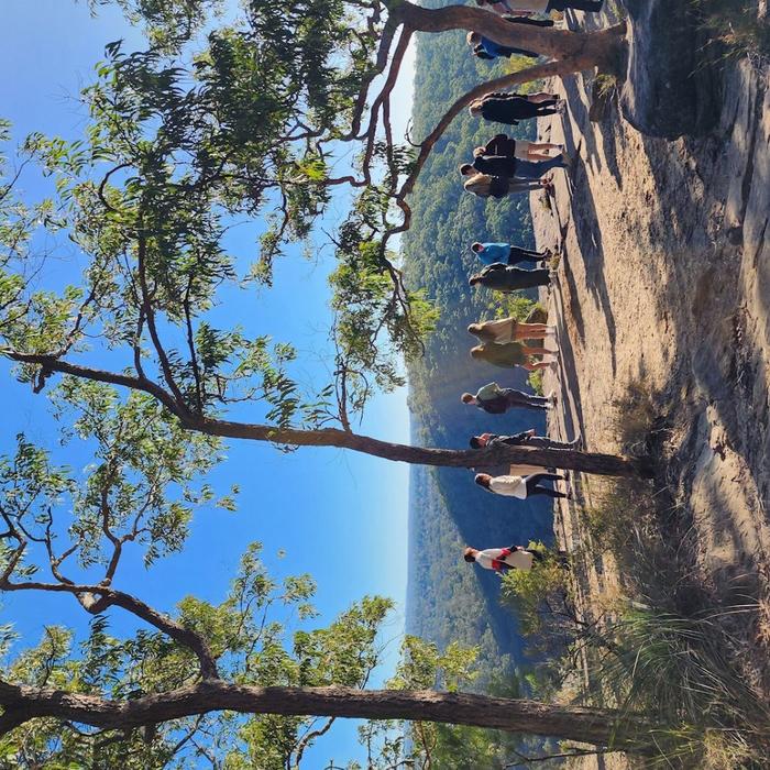 Coast Warriors Blue Mountains Day Trip with Lunch & waterfalls walk (No animal captivity)