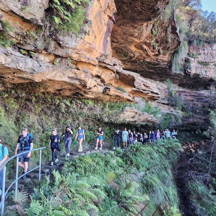 Coast Warriors Blue Mountains Day Trip with Lunch & waterfalls walk (No animal captivity)