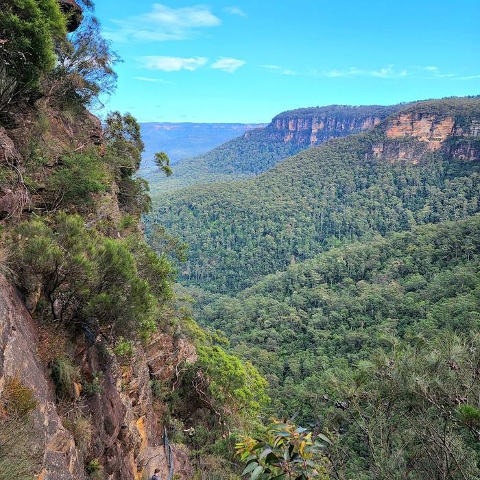 Coast Warriors Blue Mountains Day Trip with Lunch & waterfalls walk (No animal captivity)
