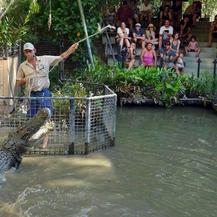 Hartley's Crocodile Adventures Entry with Return Transfers ex Palm Cove