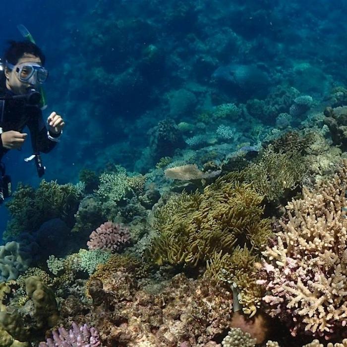 Rum Runner Great Barrier Reef Liveaboard - Snorkelling