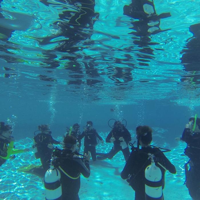 Adventure Moreton Island Tangalooma Scuba Diving Package
