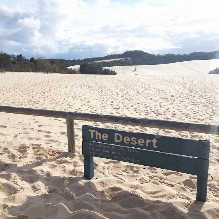 Sunset Safaris Moreton Island 'Get Wrecked' Tour ex Brisbane