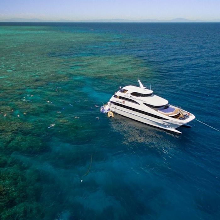 Down Under Cruise & Dive Cruise/Fly Full Day Reef Experience