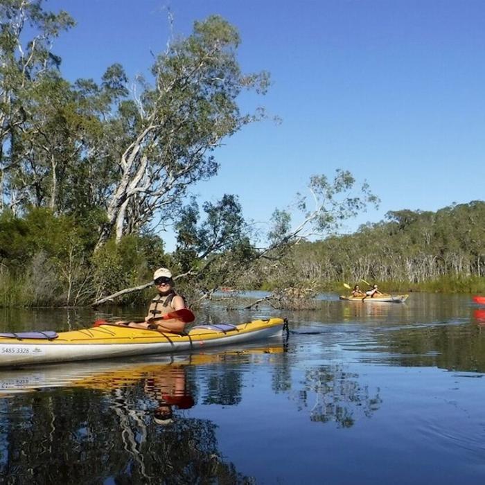Kanu Kapers Noosa Everglades Kayak Adventure (Guided)