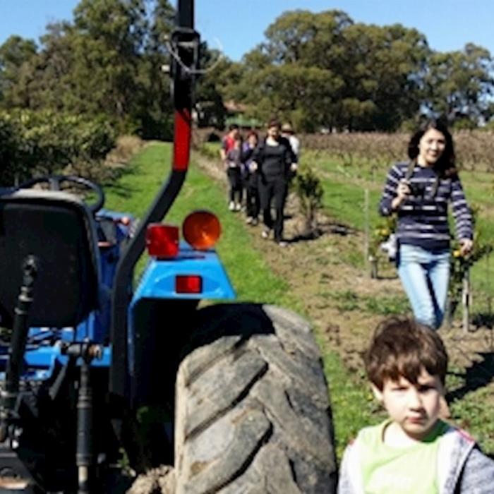 Around And About Rayner’s Orchard