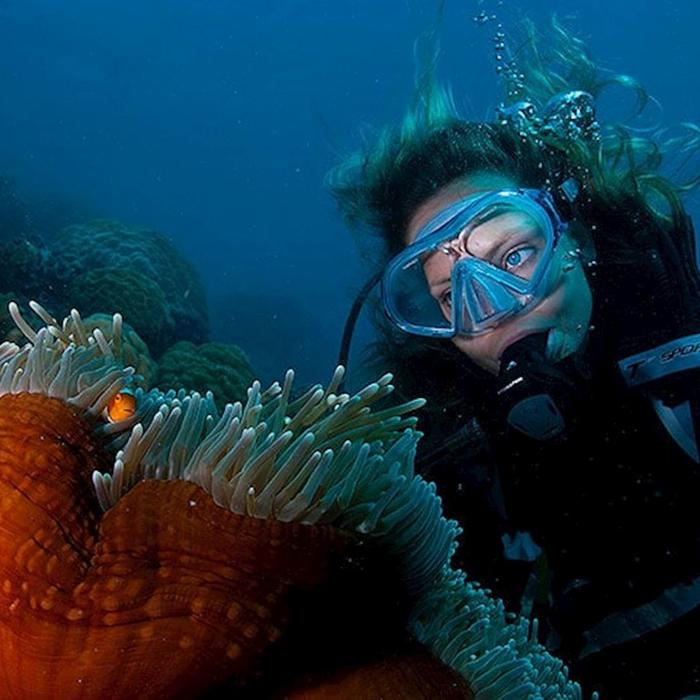 Spirit of Freedom Cod Hole & Ribbon Reef 3 Night Liveaboard
