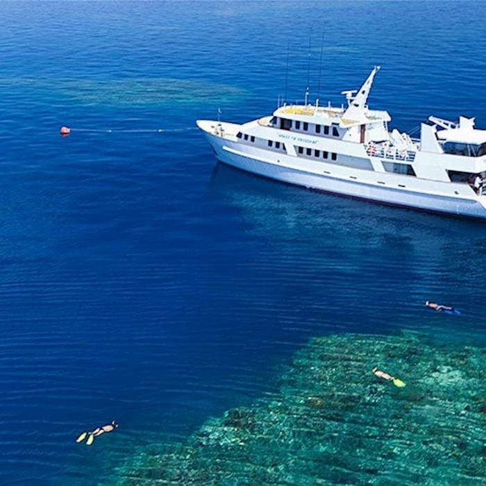 Spirit of Freedom Cod Hole & Ribbon Reef 3 Night Liveaboard