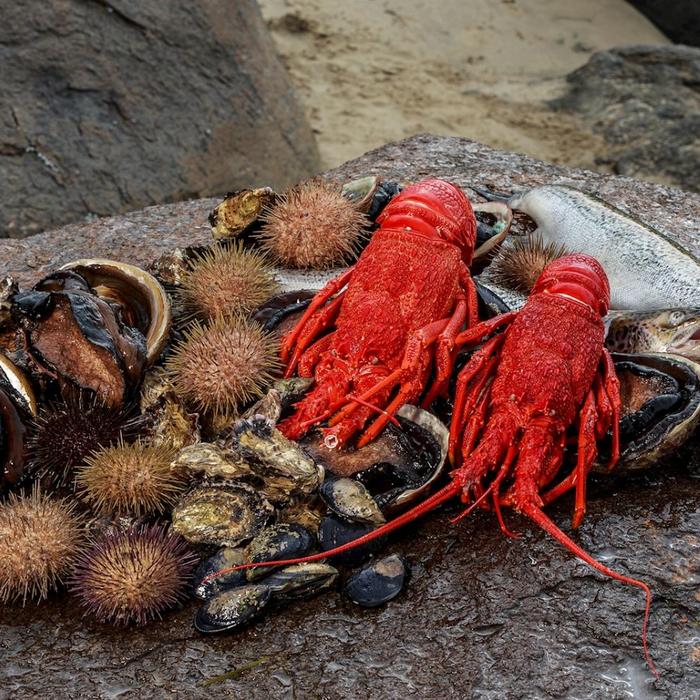 Pennicott Wilderness Journeys Tasmanian Seafood Seduction